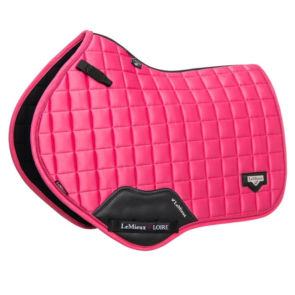 HUGE equestrian ISO!! - Picture 3 of 10